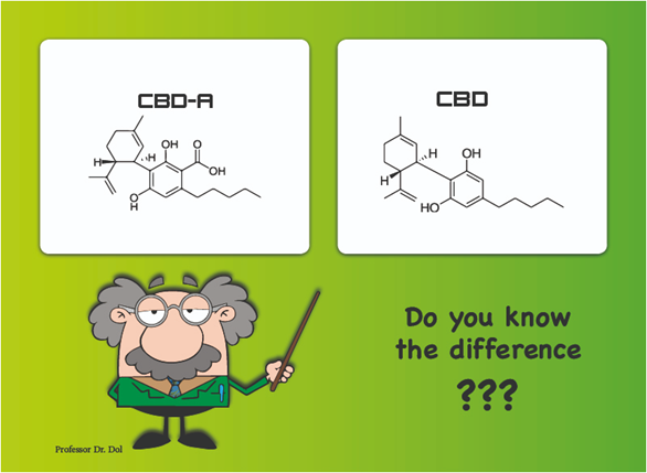 3 Key Differences between CBDA and CBD