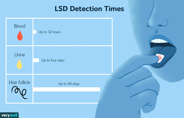 How Long Do the Effects of LSD Last in Your System