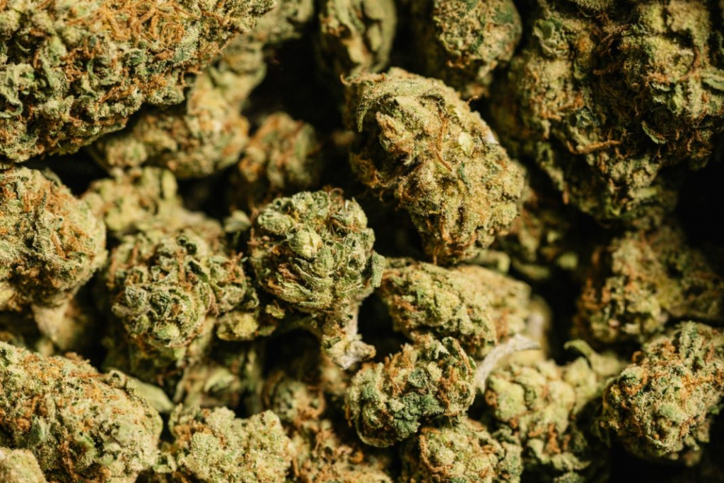 What is Cali Weed and is it Worth It? cbdication