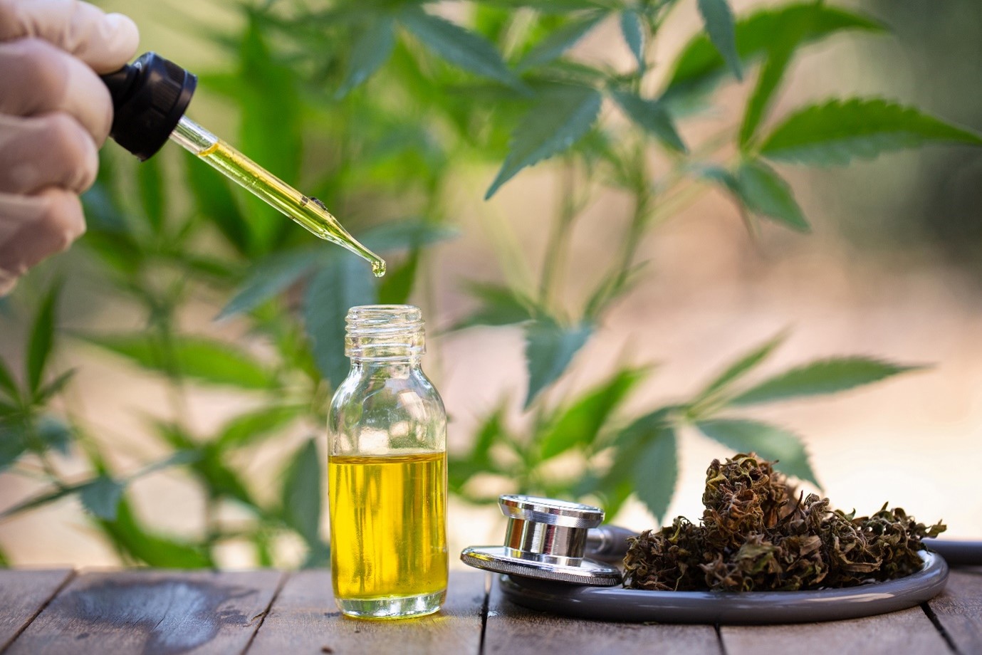 Can CBD Help with Addiction