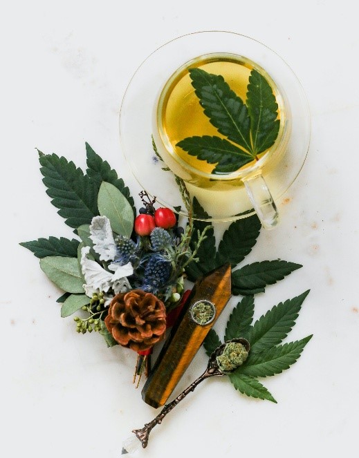 How to Intake Cannabis Tincture