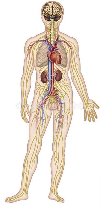 How to Treat Neuropathy