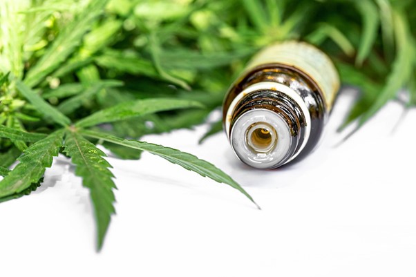 The Negative Side Effects Of Hemp Oil: What You Need To Know - Cbdication