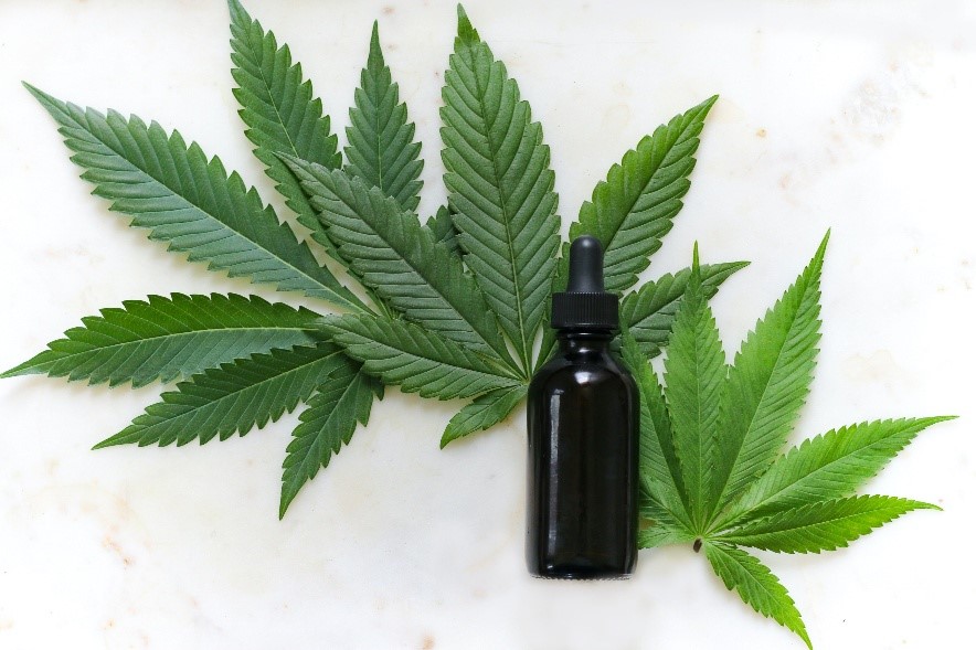 What is a Cannabis Tincture
